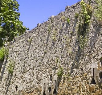 Wehrmauer von Schloss Kirchheim